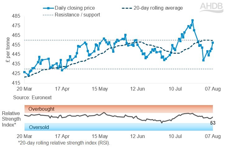 Line graph of Paris rapeseed futures Nov-26 contract prices over the past six months.